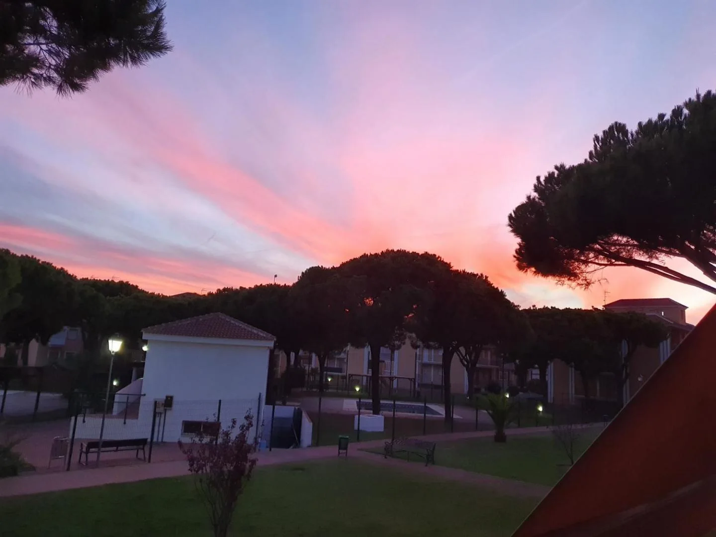 Atardecer rosa sobre los pinos del residencial