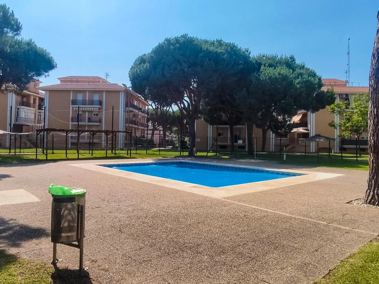 Piscina pequeña con pinos al fondo