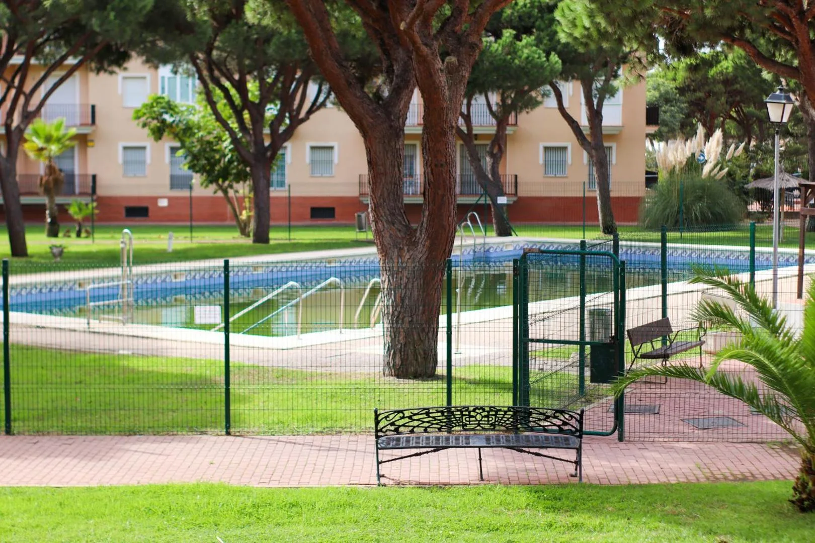 Piscina del residencial entre pinos y césped