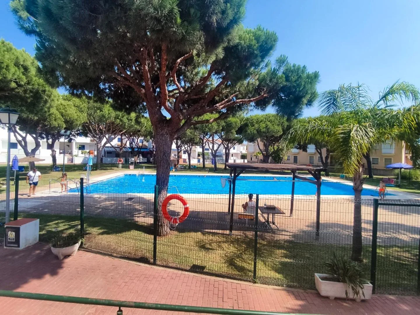Piscina con un pino y flotador